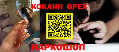 гашик Будённовск