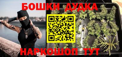 гашик Будённовск