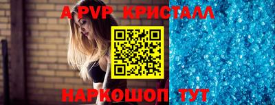 гашик Будённовск